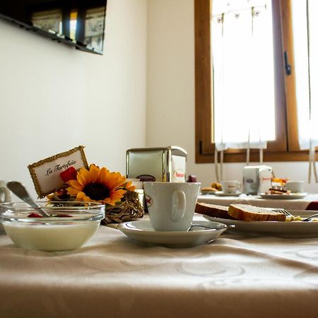 La Cerqua Villa Arcevia Kültér fotó