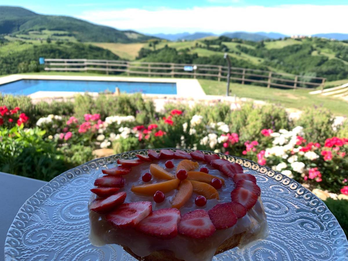La Cerqua Villa Arcevia Kültér fotó