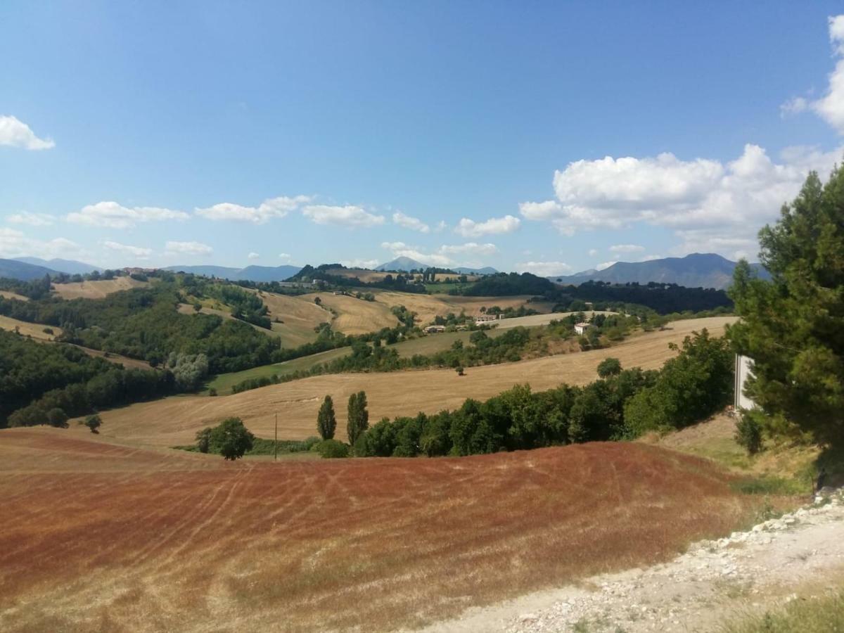 La Cerqua Villa Arcevia Kültér fotó